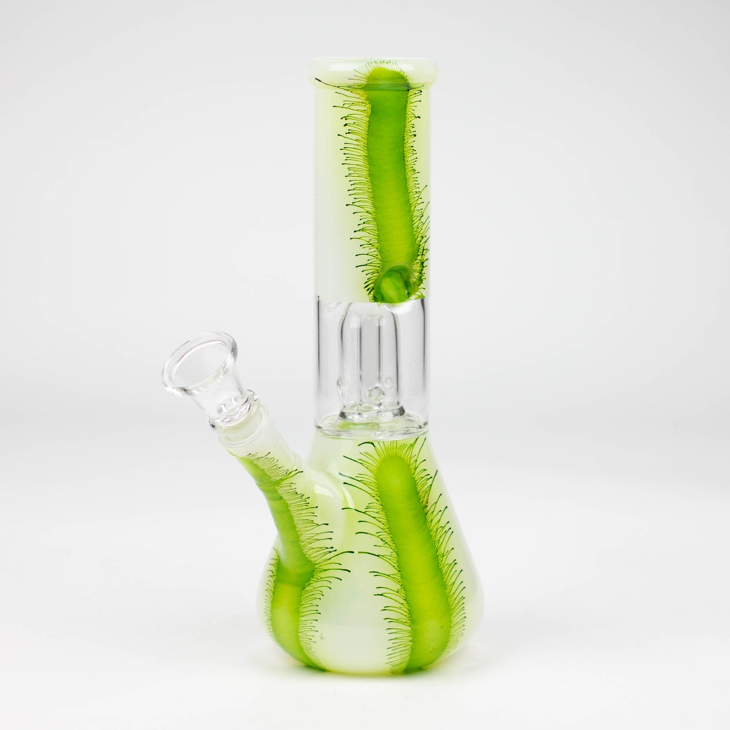 8" Single Dome Percolator glass water Bong-Assorted_1